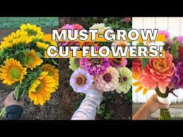 Must Grow Cut Flowers What We Re