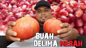 Pernahkah anda mendengar buah delima sebelumnya? Buah Delima Merah Pomegranate Cara Aku Potong Dan Cara Makan Buah Delima Youtube