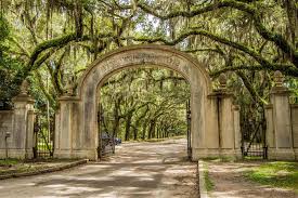 8 things to do in savannah with kids