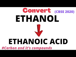 ethanoic acid ethanol ester