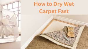 how to dry wet carpet fast follow
