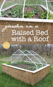raised garden bed with a roof
