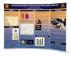 Scientific Tri Fold Posters Research Poster Tri Fold