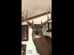 Deer Hunting Humor Funny Talking