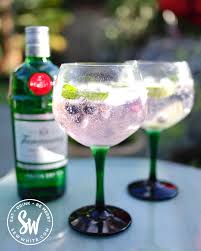 blueberry gin and tonic recipe easy