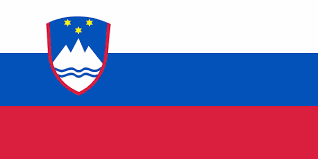 Image result for slovenia flag png