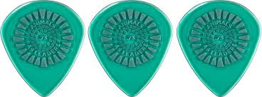 Image result for plectra