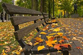 benches along park landscape autumn