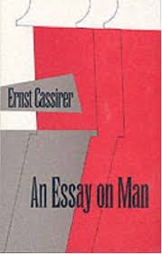 How To Write A Good An essay on man summary epistle  