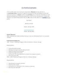 Examples Resume Personal Statement Of A Profile To Creative