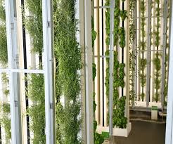Turnkey Vertical Farms Indoor Farming