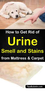 urine smell