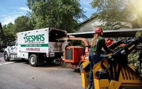 Here we will discuss how long tree removal typically lasts, and what factors affect the time it takes for arborists to get the job the size of the tree is the main factor that affects the process of removal. Tree Service Atlanta Tree Removal Atlanta Ga Sesmas Tree Service