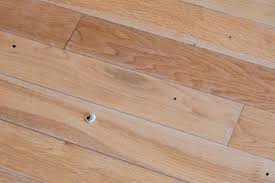termite on your wood flooring