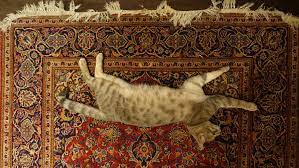 odors from your oriental rug