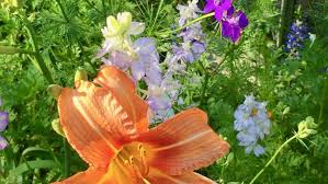 Texas Style Cottage Garden