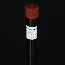 6x red fluorescent dna loading dye 1 0