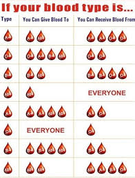 Easy Blood Type Chart Album On Imgur
