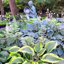 About The Hosta Hideaway