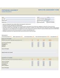 Free 8 Employee Assessment Examples Templates Pdf Doc
