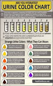 Urine Color Chart Medschool Doctor Medicalstudent