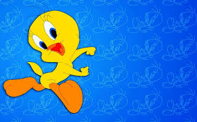 tweety bird wallpaper 60 pictures