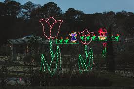 lights at norfolk botanical garden