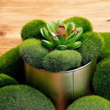 Maybe you would like to learn more about one of these? Nucarture Moss Balls Decorative Rocks Grass Ball For Home Decorations Green Foam Artificial Plant Silk Ball Innovative Foam Stone For Fairy Garden Artificial Plant Price In India Buy Nucarture Moss Balls