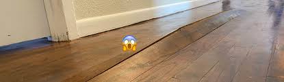 Hardwood Floor Issues
