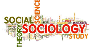 Image result for Understanding sociology 1 dvd