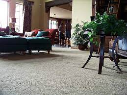 find great carpet pricing and new