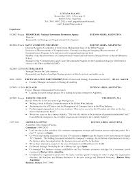 sample professional resume template professional resume format     Template net