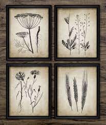 Meadow Plant Wall Art Set Of 4