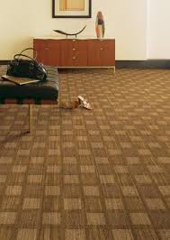 cool carpeting adds flair to common