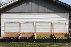 build cold frames for your garden