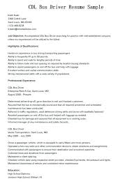 Here Are School Bus Driver Resume Sample For Delivery Position