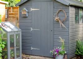 6 Ways To Improve Your Shed Growing