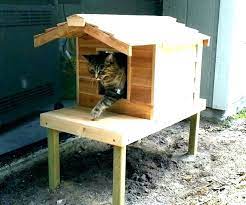 Here's how to create and inexpensive outdoor cat shelter for your own cat or a stray cat. How To Build An Outdoor Cat House S Insulated Outdoor Cat House Plans Shelter Making A Heated Outdoor Outdoor Cat House Outside Cat House Outdoor Cat House Diy