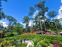 baguio botanical garden
