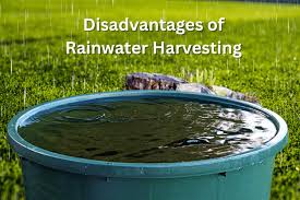 10 disadvanes of rainwater