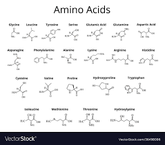 amino acids chemical molecular formula