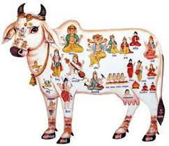 Hindu Yuva Vahini (Gujarat): ગાયમાતા રાષ્ટ્રમાતા ??? કોઈ ગાયને જ પૂછી જૂઓ...