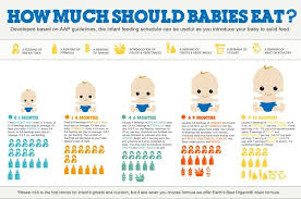 Not Sure About How Much Or When To Feed Your Baby Throughout