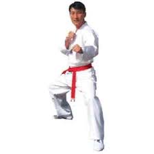 Details About V Neck Student Taekwondo Uniform Gi W White Belt