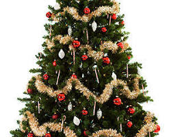 Image of क्रिसमस का पेड़