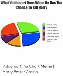 What Voldemort Does When He Has The Chance To Kill Harry