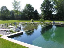 If you have a large rock garden and intend to use it differently than usual, for example by adding a waterfall or even a natural pool, continue reading the following passages. Diy Pool How To Build A Natural Swimming Pool
