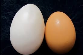 Maybe you would like to learn more about one of these? Duck Eggs Vs Chicken Eggs What S The Difference