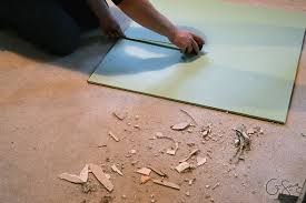 Drywall Priming Painting Flooring