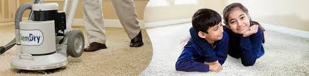 professional carpet cleaning chemdry